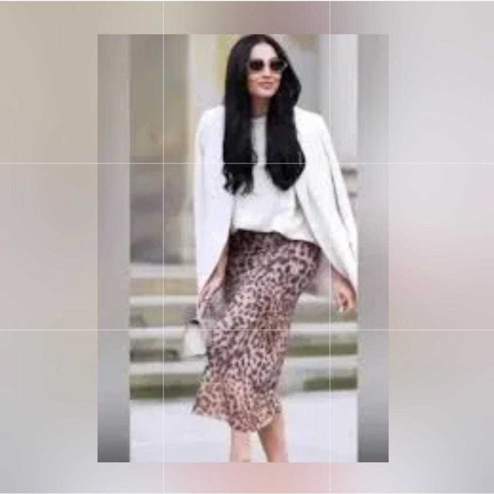 NWT Zara LeopardPrintDress🎀 For a VDay or anyday in a Bloggers Fave!🥰💕🔥 - Picture 5 of 8